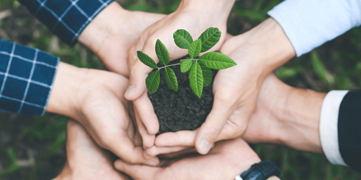 9x Duurzame en MVO bedrijfsuitjes